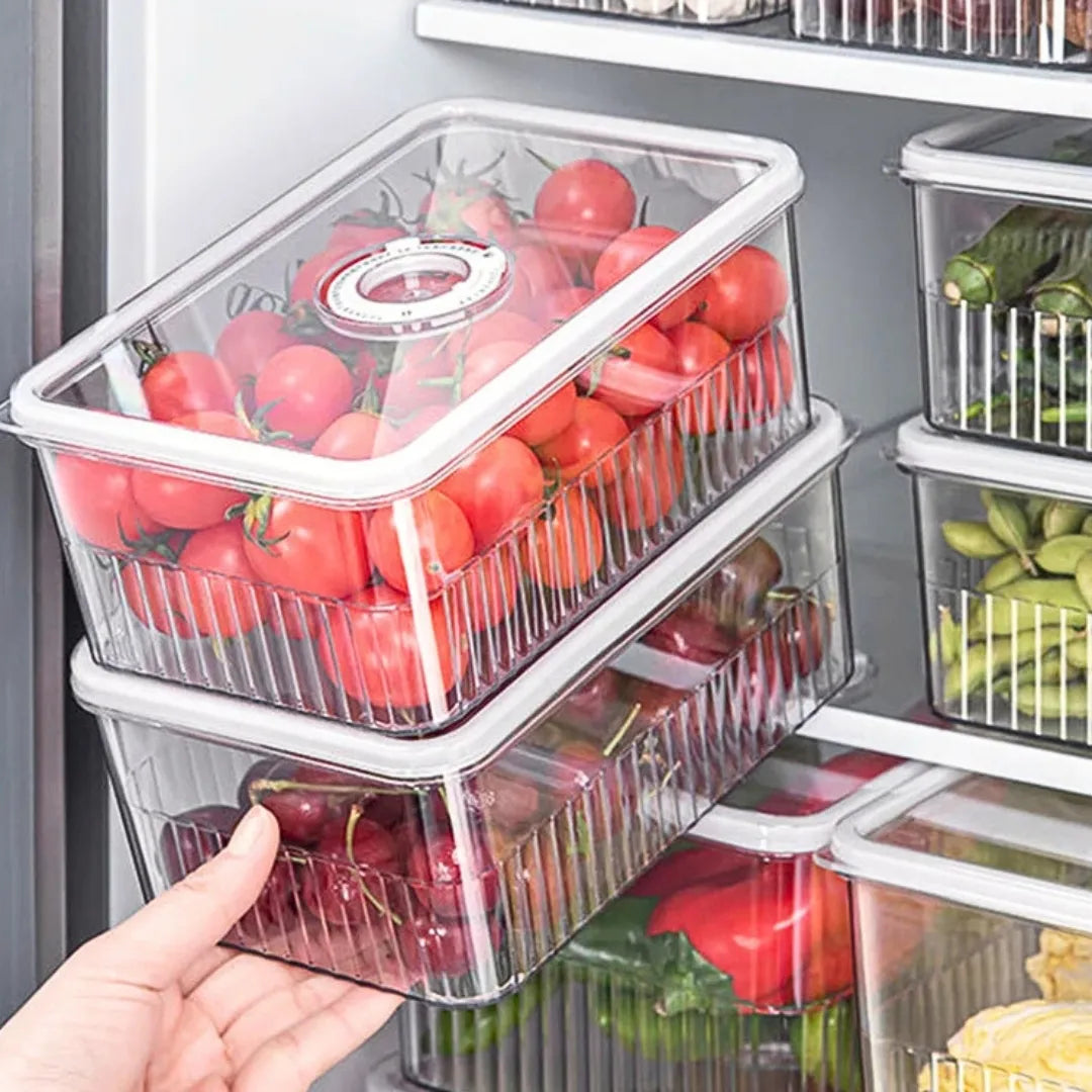 Caixa Organizadora Hermética Transparente - Organização e Preservação Inteligente