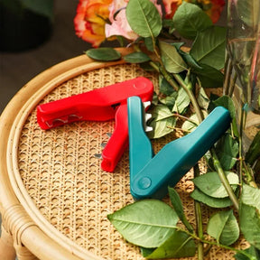 Removedor de Espinhos e Folhas - Em Aço Inox