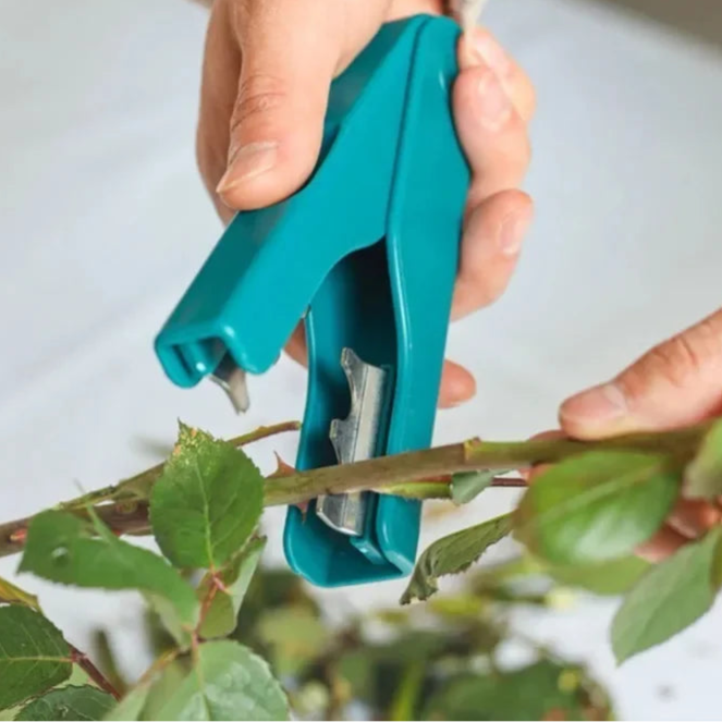 Removedor de Espinhos e Folhas - Em Aço Inox