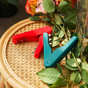 Removedor de Espinhos e Folhas - Em Aço Inox