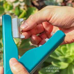 Removedor de Espinhos e Folhas - Em Aço Inox