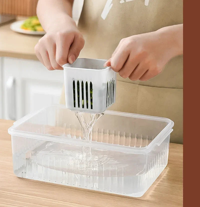 Organizador de Alimentos para Geladeira - De Plástico PP