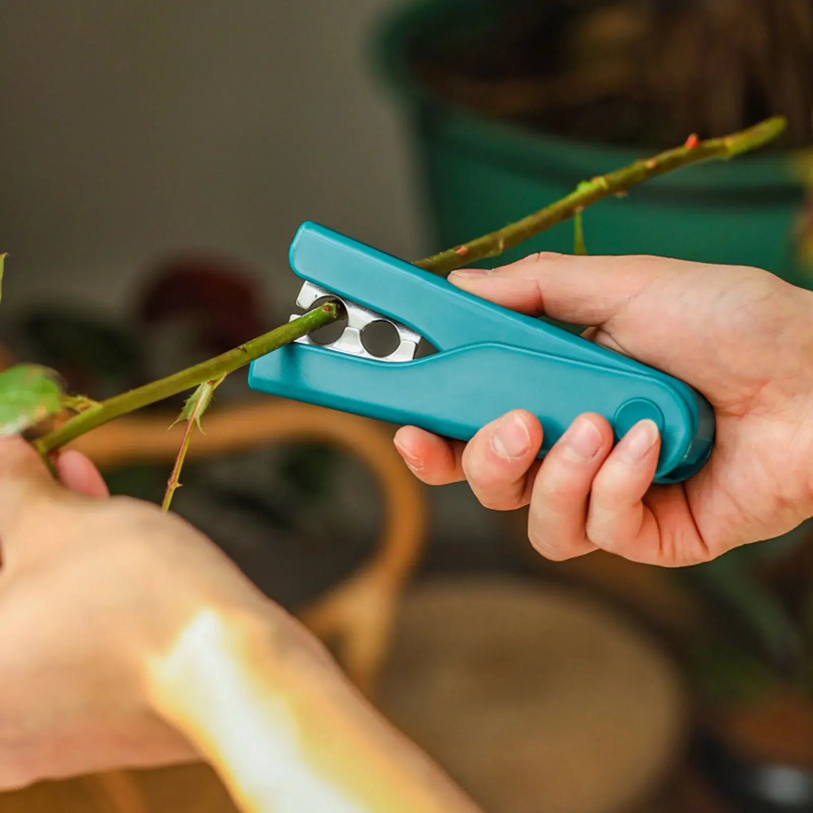 Removedor de Espinhos e Folhas - Em Aço Inox